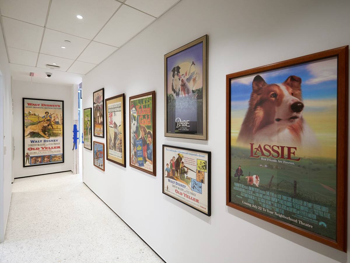 THE AMERICAN KENNEL CLUB MUSEUM OF THE DOG RETURNS TO NEW YORK CITY FEBRUARY 2019