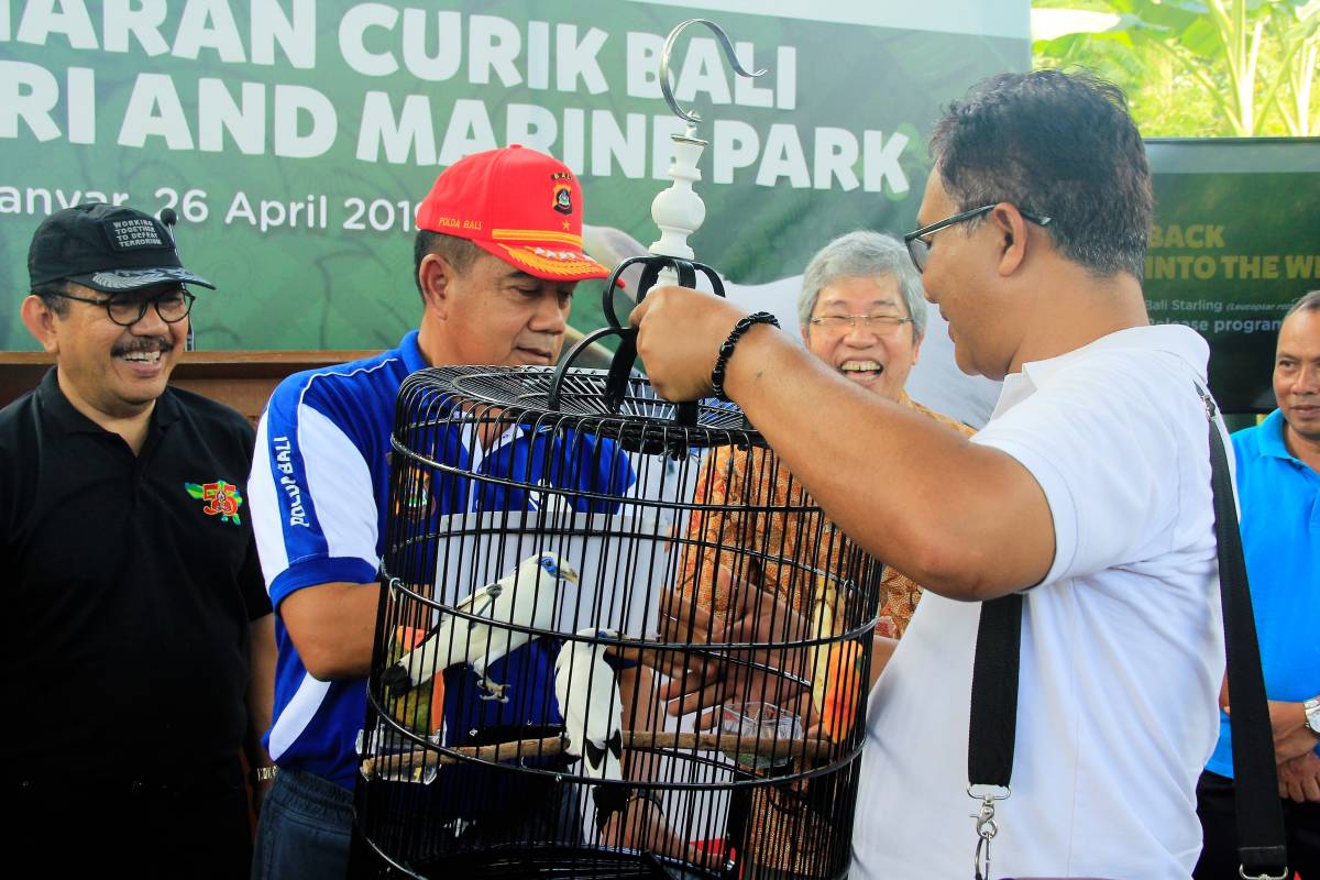 BALI SAFARI PARK RELEASES BALI STARLINGS INTO THE WILD TO SAVE THIS ICONIC NATURAL HERITAGE