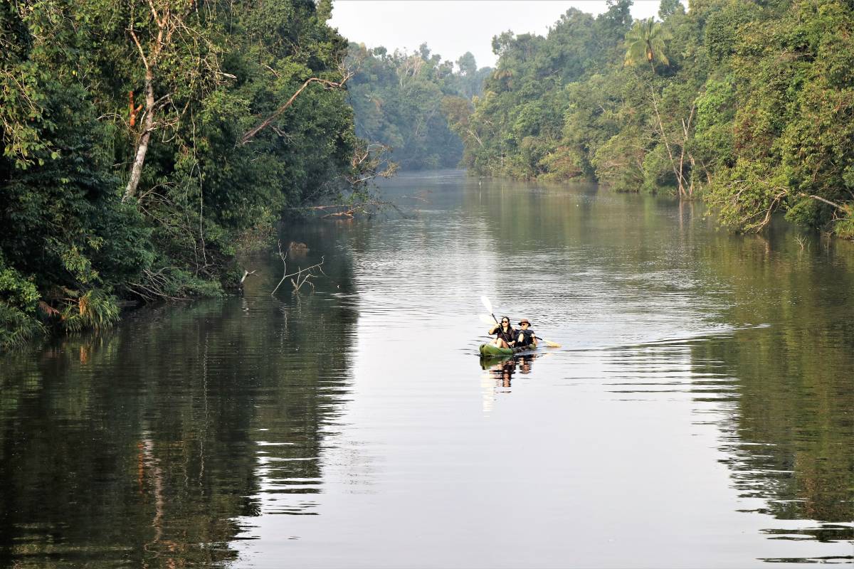 Ecotourists Staying Away Put Wildlife in Danger in Cambodia