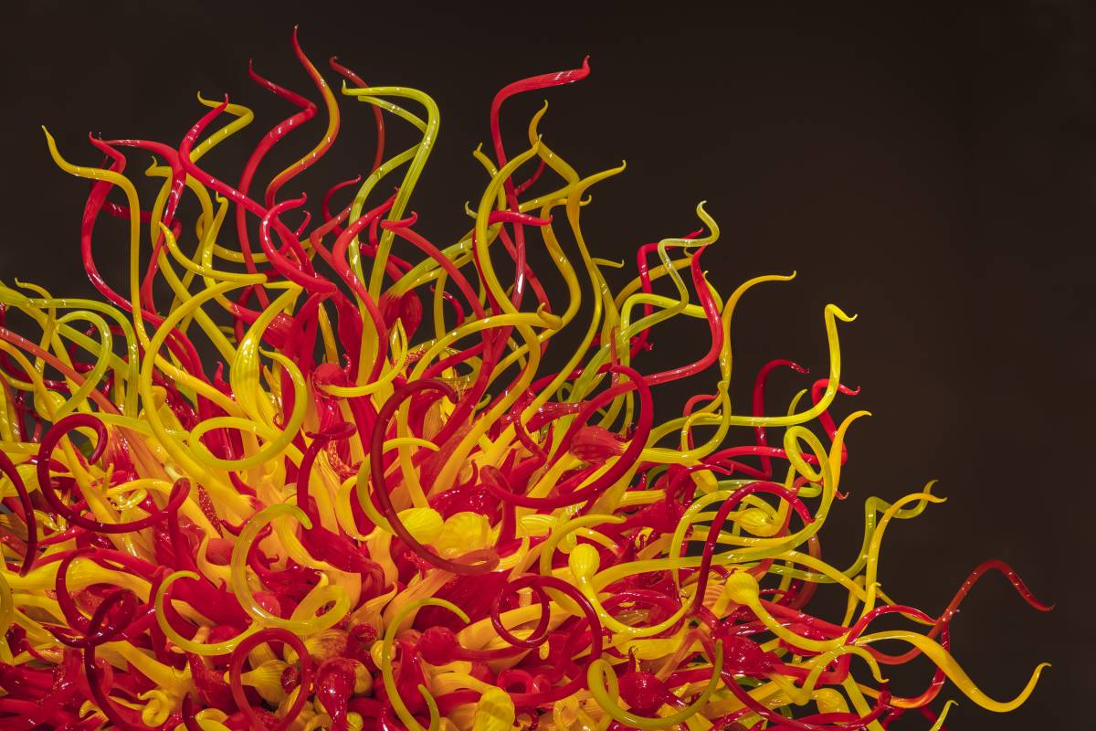 World-renowned Artist Dale Chihuly to Debut First Major Garden Exhibition in Singapore