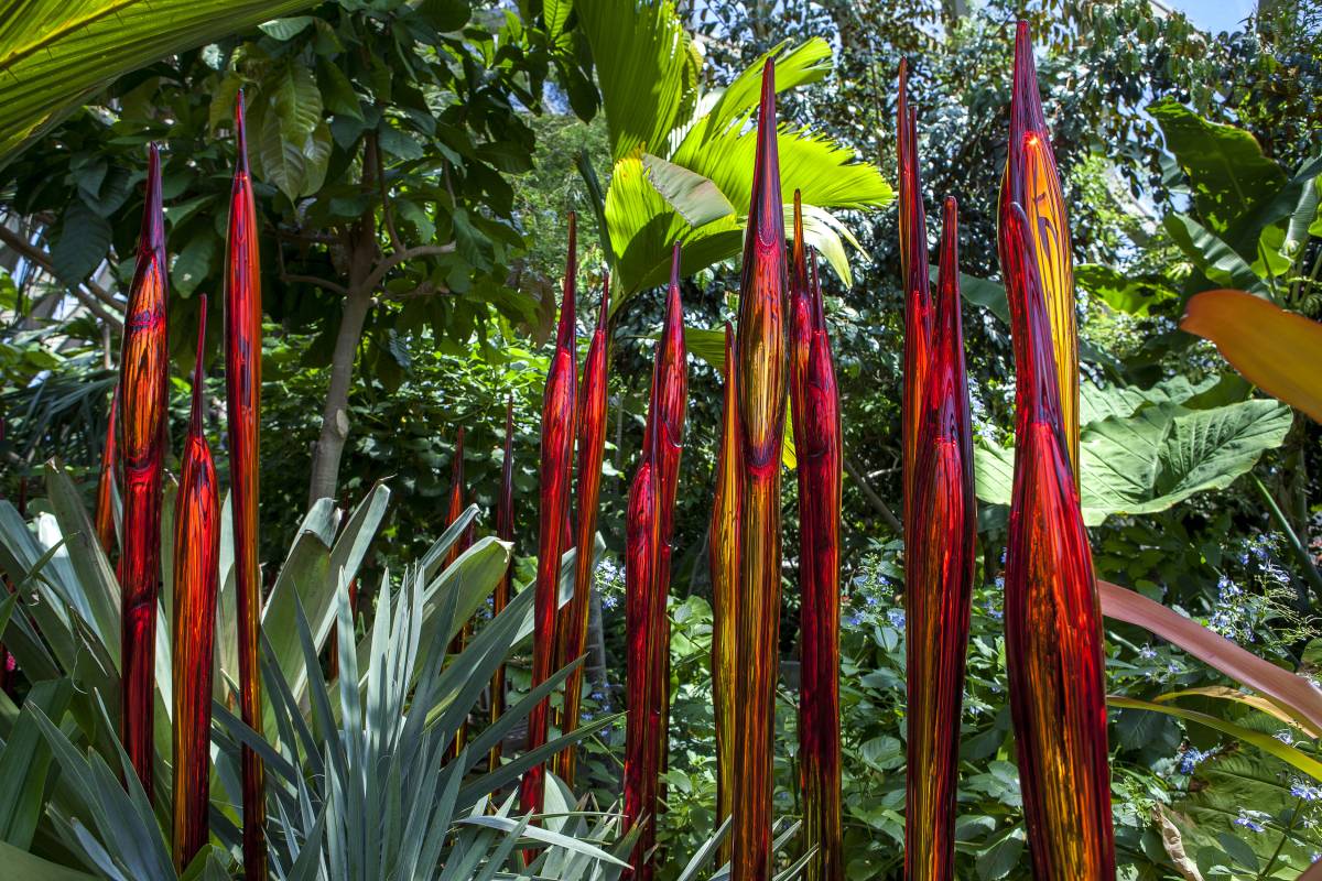 World-renowned Artist Dale Chihuly to Debut First Major Garden Exhibition in Singapore