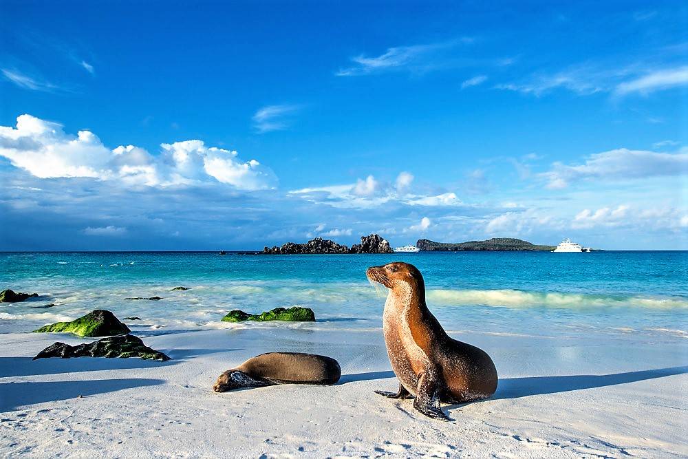 Hurtigruten Expeditions Continues Expansion - Introduces Exclusive Galapagos Expedition Cruises