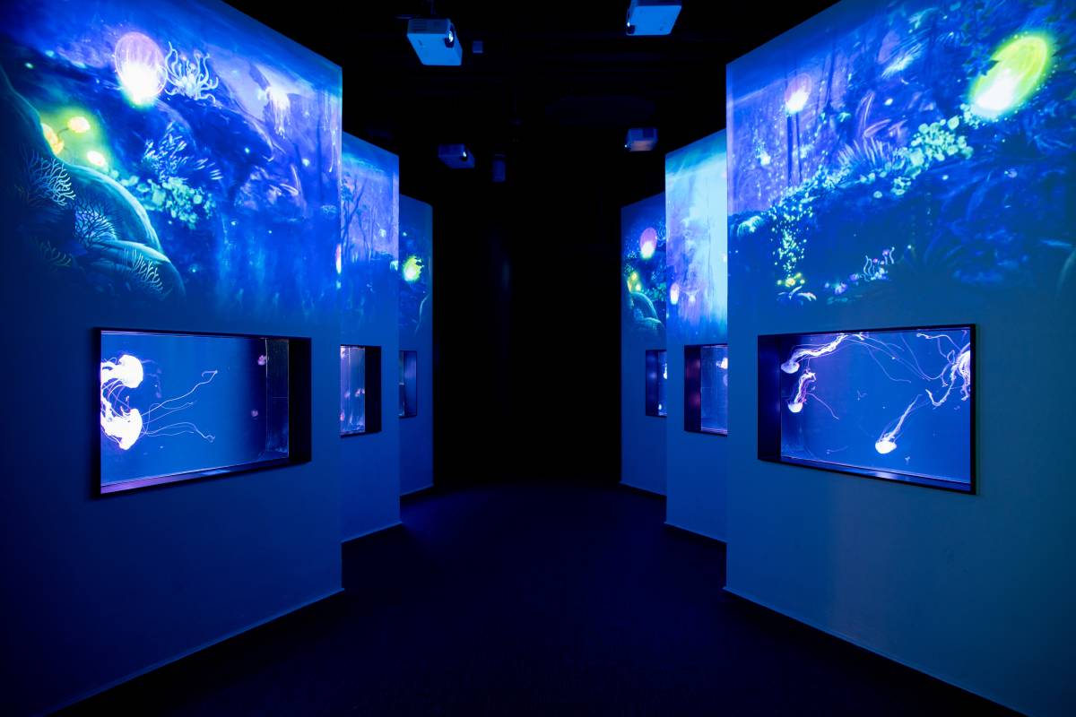 Cube O Discovery Park, Hong Kong’s First City-centre Ocean Experience Opens at Plaza 88 in Tsuen Wan