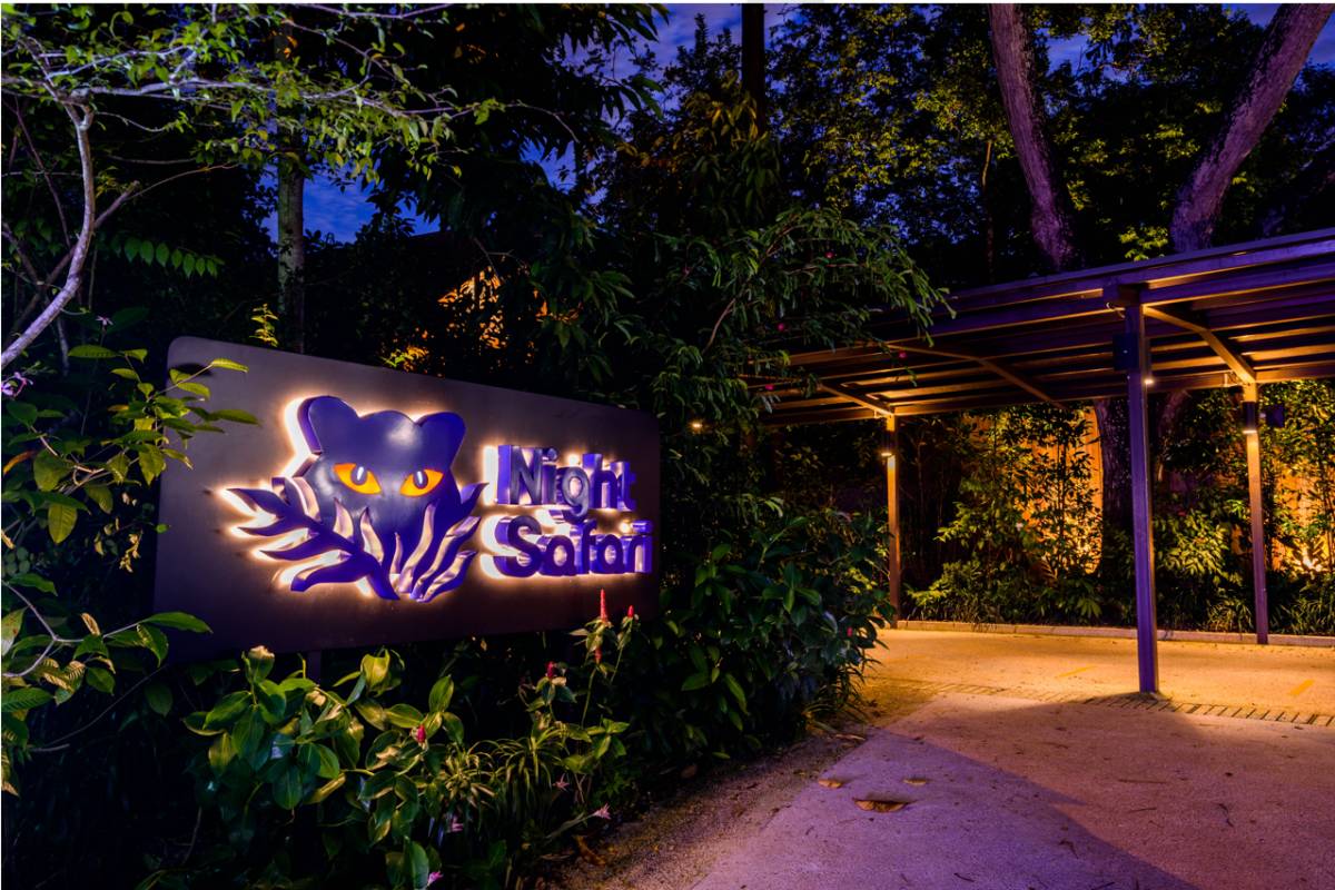 New Corporate Identity, New Names for Singapore’s Wildlife Parks and a Renewed Commitment to Conservation and a Sustainable Future