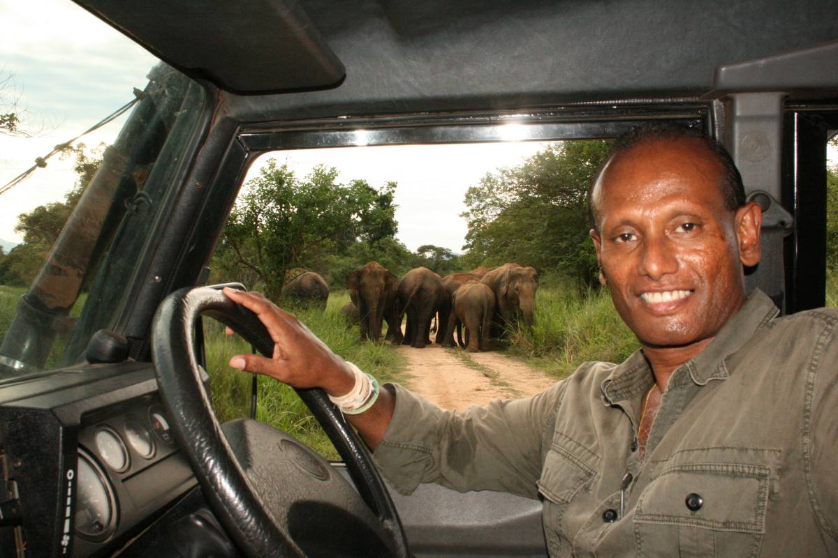 Navigating Human Elephant Conflict
