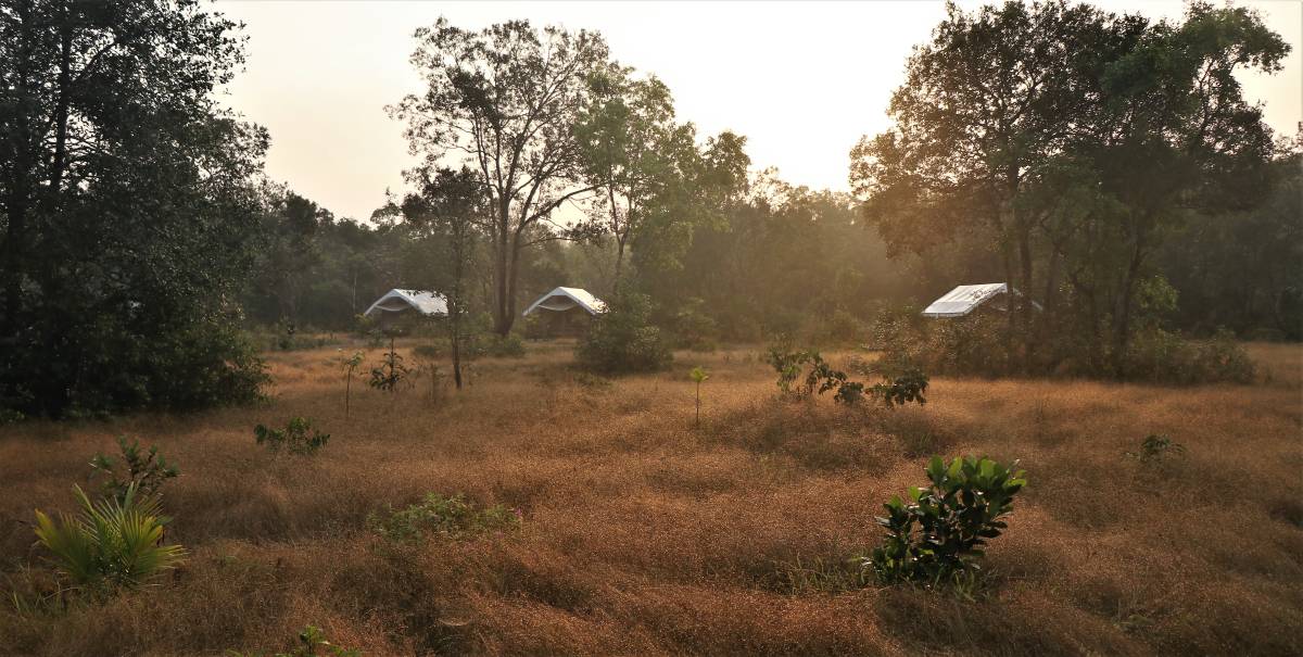 Cardamom Tented Camp Keeps the Forest Standing
