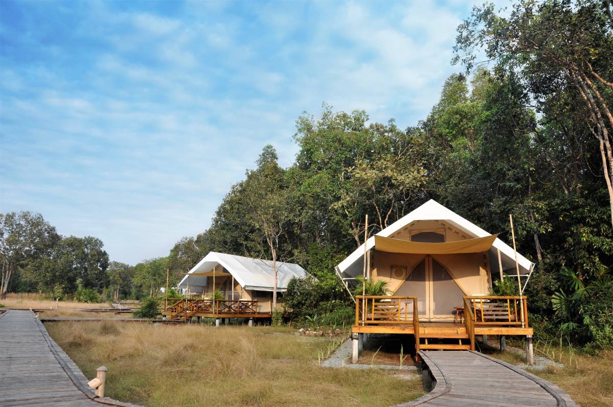 Cardamom Tented Camp Keeps the Forest Standing