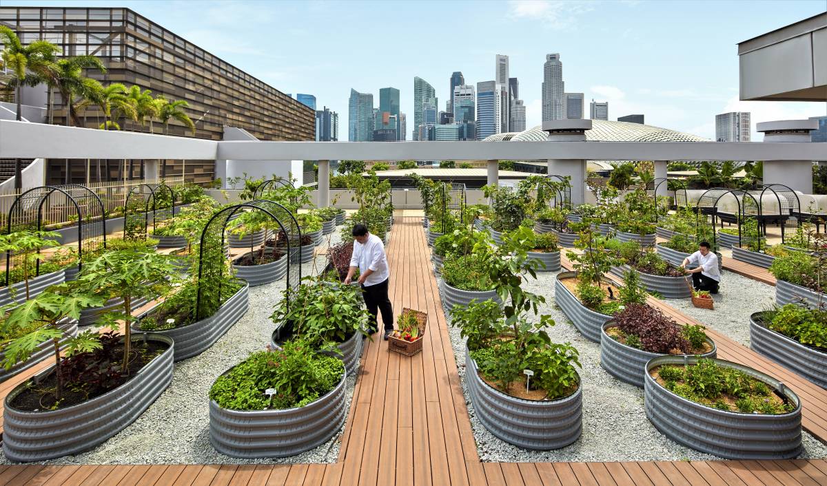 PARKROYAL COLLECTION launches Eco-Wellness experiences for feeling well and living well