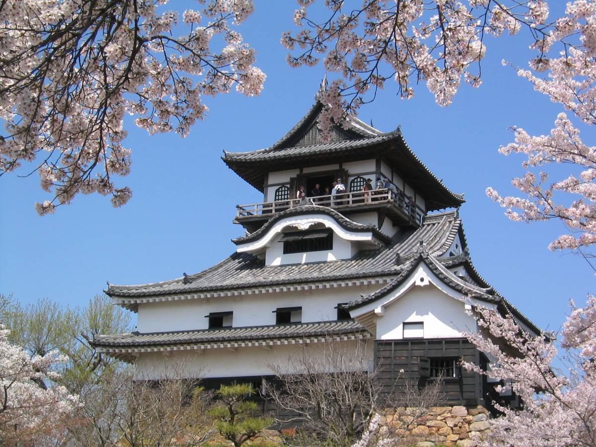  Inuyama Castle: Japan’s Emotionally Rich Phenomenon