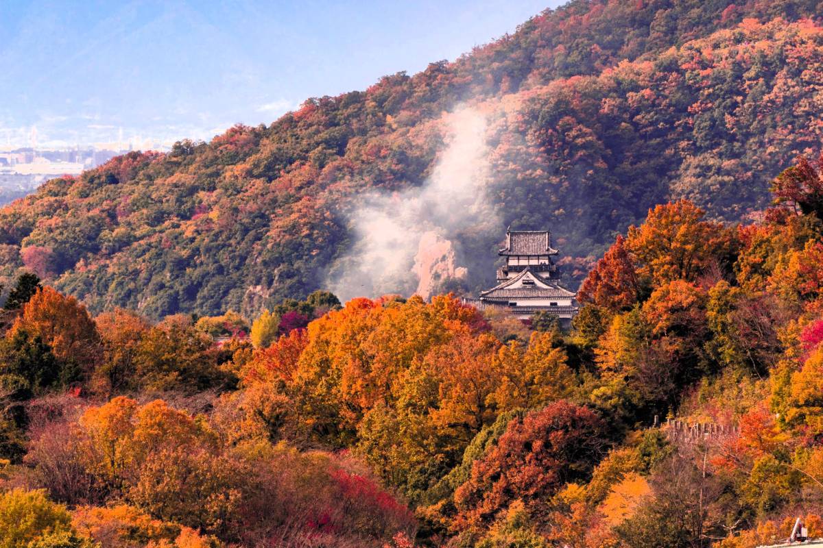  Inuyama Castle: Japan’s Emotionally Rich Phenomenon