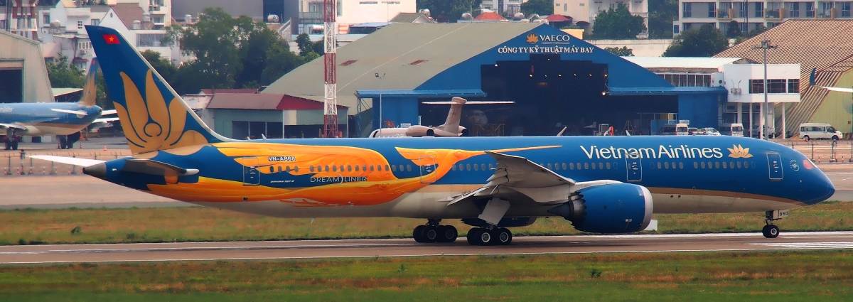 Vietnam Airlines Unveils Special Livery in Honor of 30th Anniversary