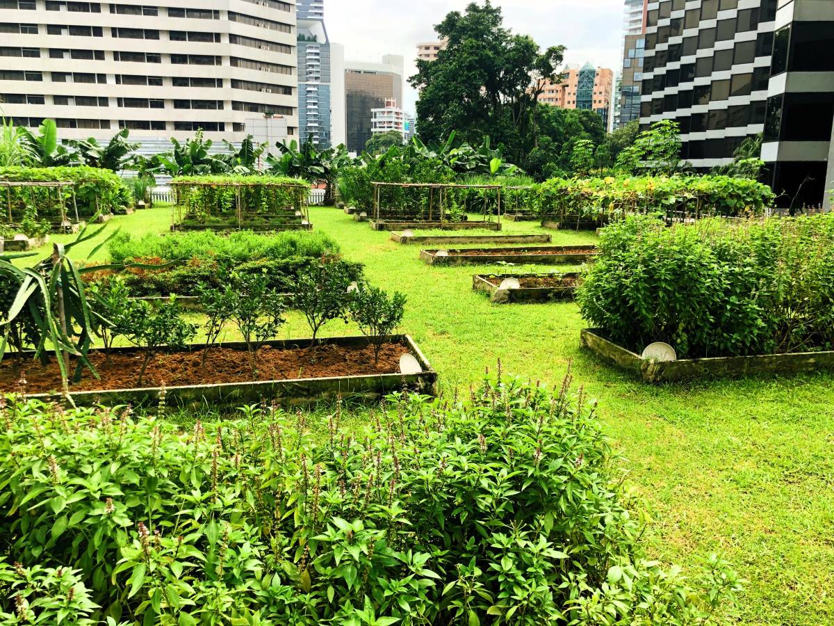 Grand Hyatt Singapore Brings Sustainable Luxury to Life Through the Guest Journey