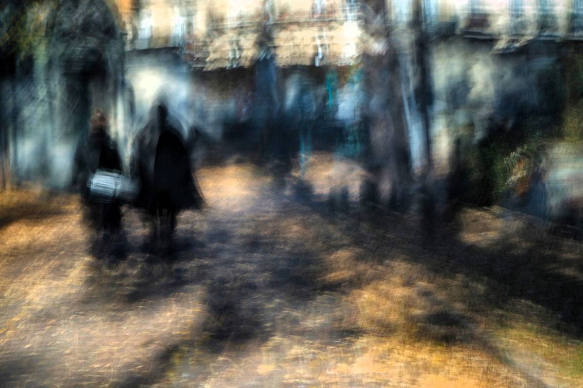 Discover Paris Through its Trees: A Photographic Journey By Singaporean Photographer Melisa Teo