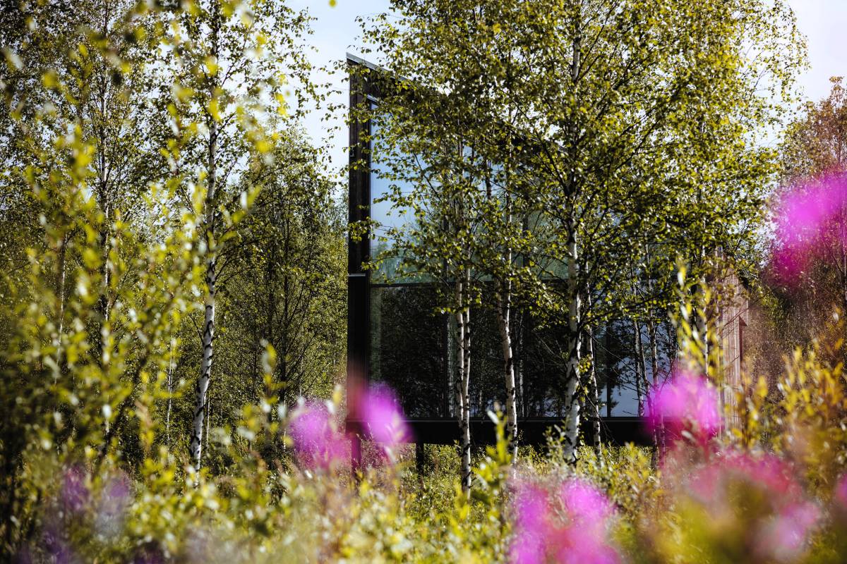 A Midsummer Celebration in Northern Sweden, the Arctic Bath Way