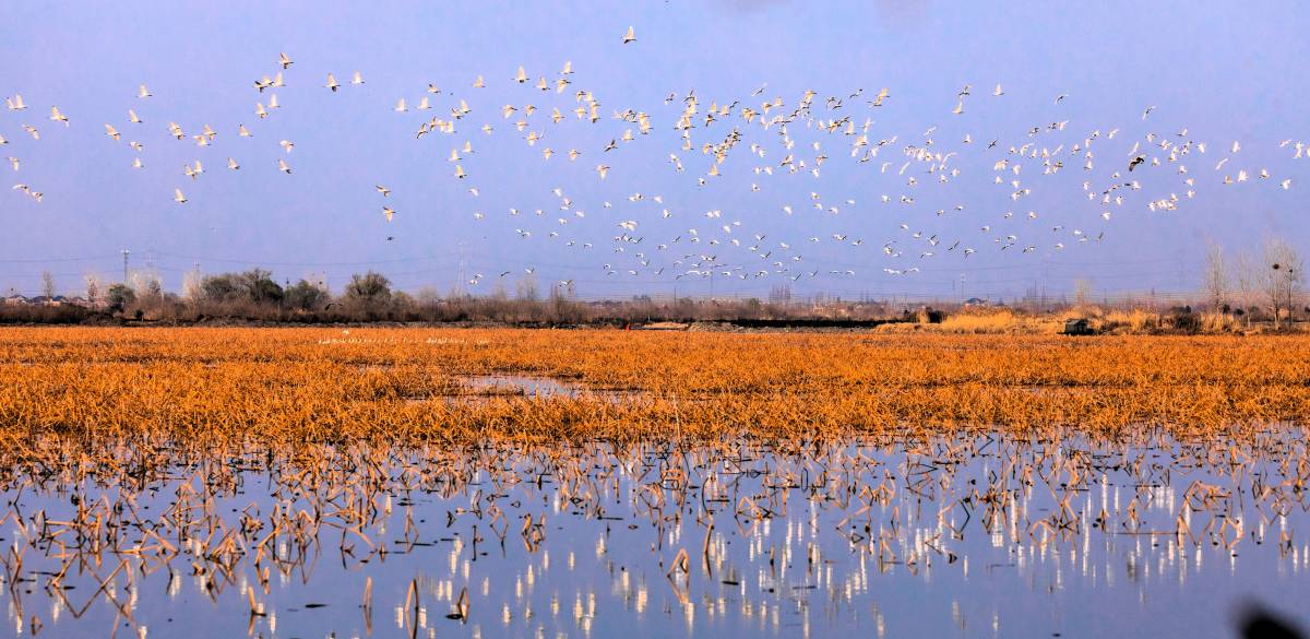 Discover Xinghua, China – a 
