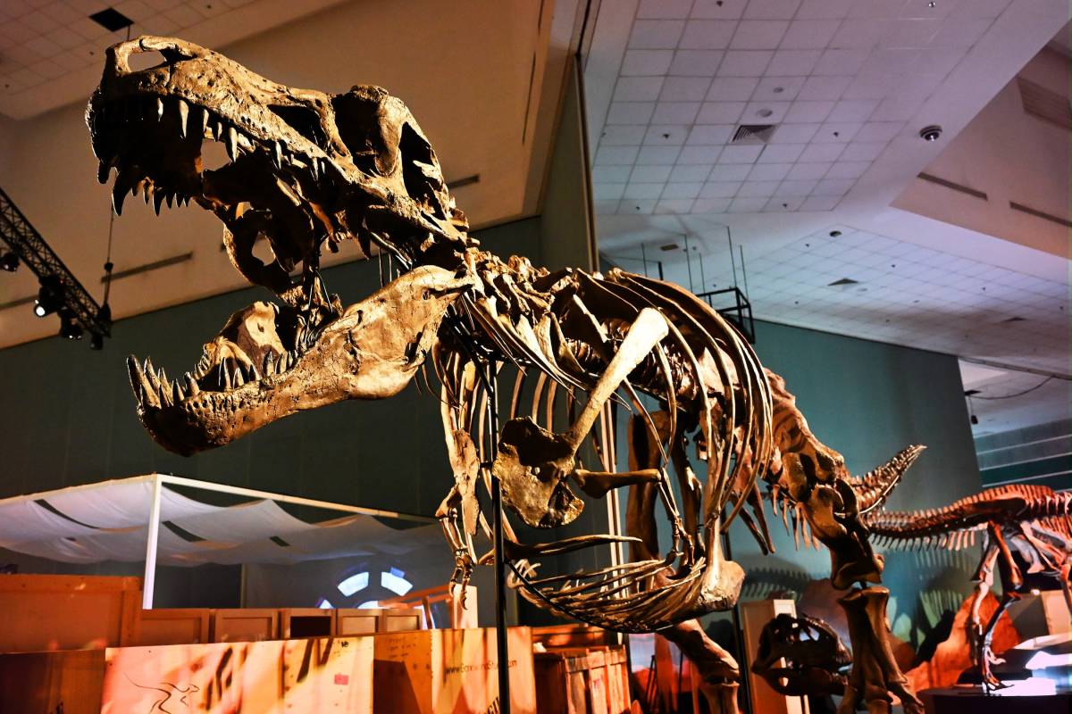 Explore Singapore’s Ultimate Prehistoric Experience at Science Centre Singapore