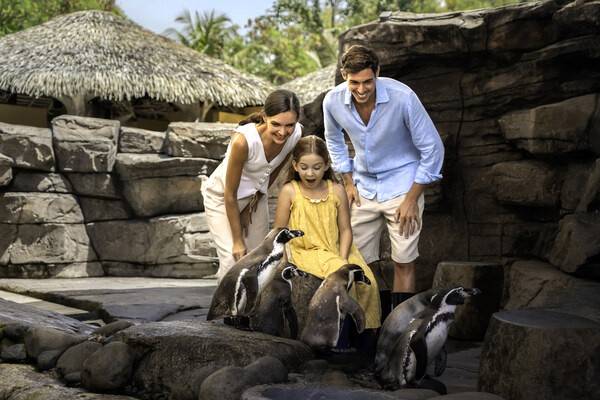 Bali Magical Adventure - Marine Safari Bali Brings a New Wave of Ocean Discovery to Southeast Asia 