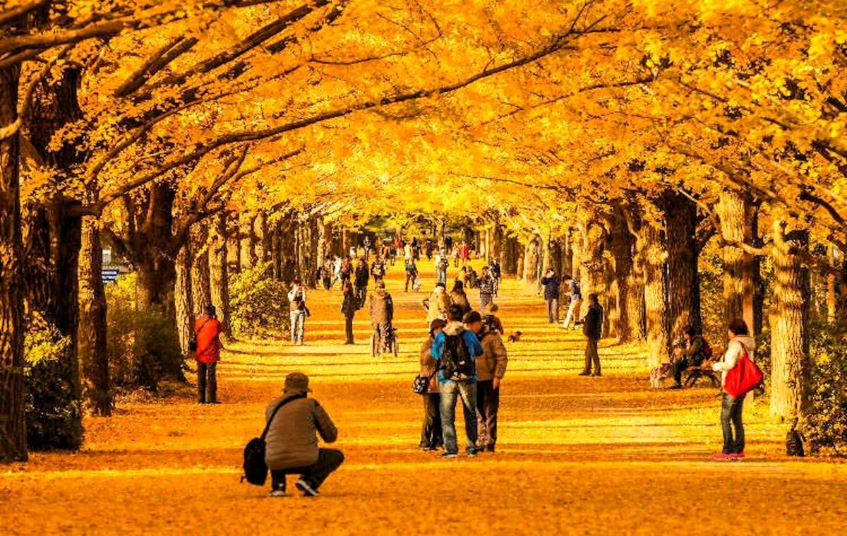 Tokyo Gov Social Media Accounts Surpass 1.37 Million Followers—Showcasing Tokyo’s Culture, Innovation, and Safety to the World