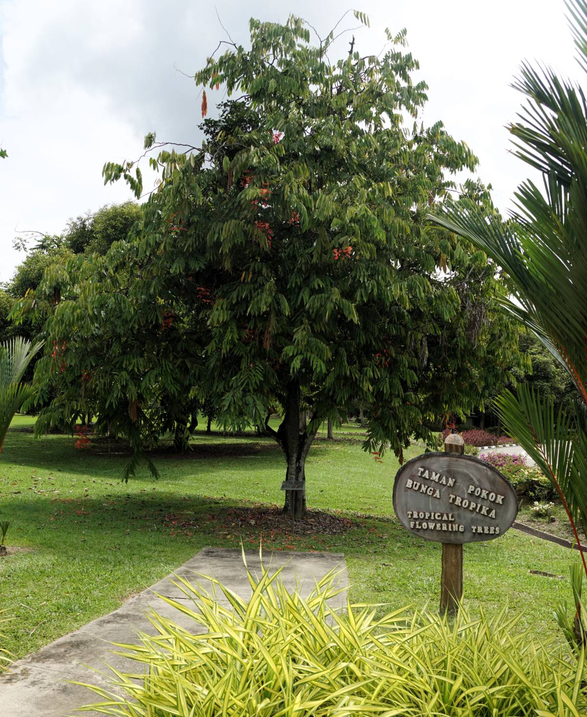 Sabah Agriculture Park is Beautiful, Informative and Interesting