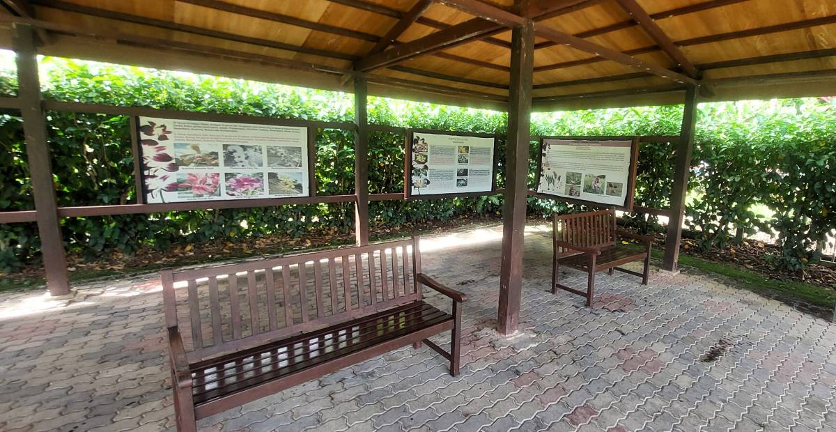 Sabah Agriculture Park is Beautiful, Informative and Interesting