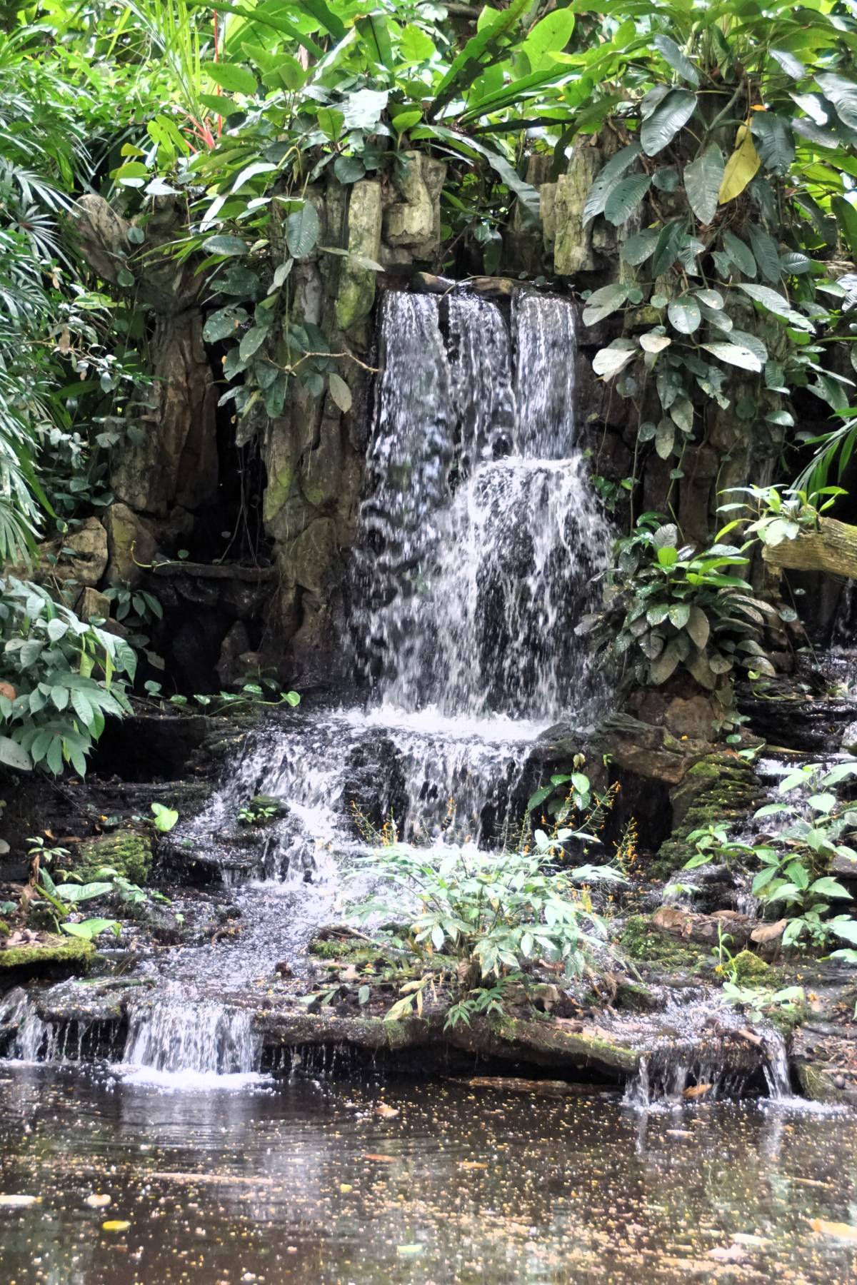 Sabah Agriculture Park is Beautiful, Informative and Interesting