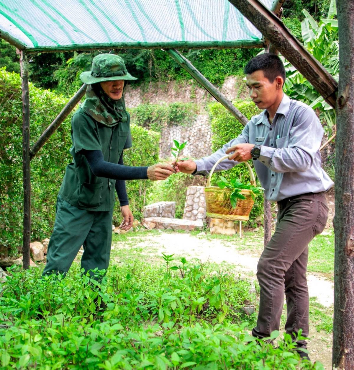 Wyndham Grand Phuket Kalim Bay Launches Stingless Bee Project to Elevate Sustainable Farm-to-Table Experience