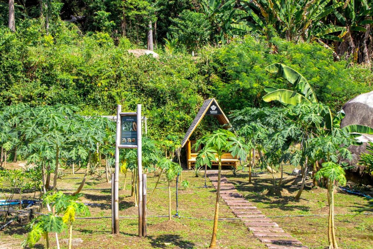 Wyndham Grand Phuket Kalim Bay Launches Stingless Bee Project to Elevate Sustainable Farm-to-Table Experience
