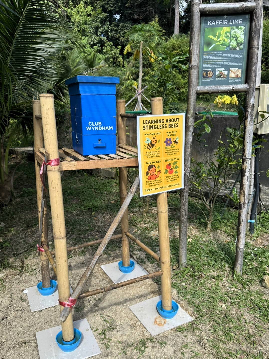 Wyndham Grand Phuket Kalim Bay Launches Stingless Bee Project to Elevate Sustainable Farm-to-Table Experience