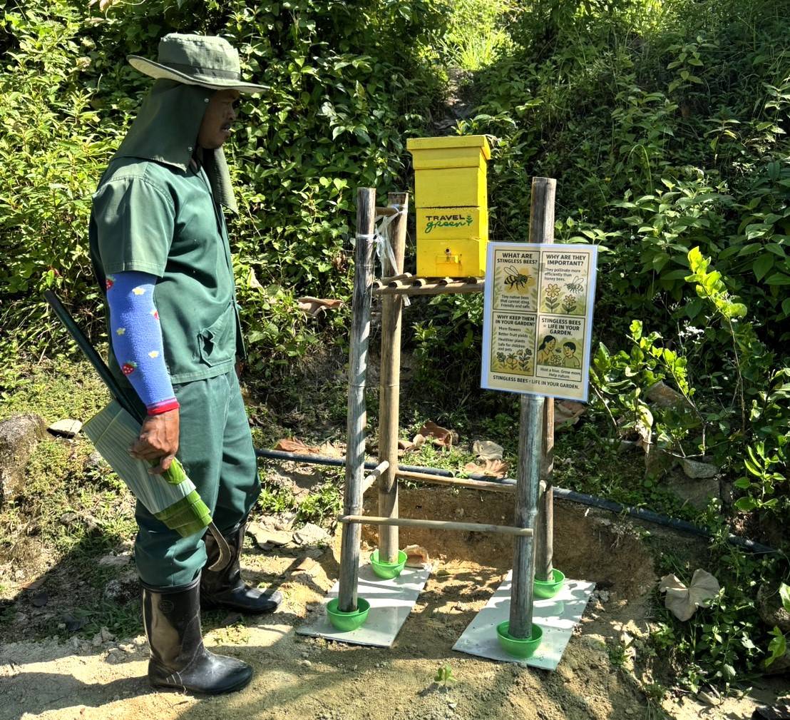 Wyndham Grand Phuket Kalim Bay Launches Stingless Bee Project to Elevate Sustainable Farm-to-Table Experience