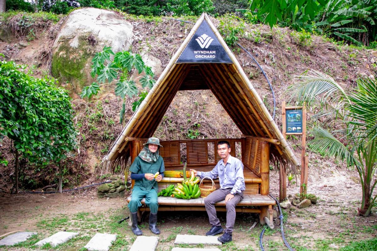 Wyndham Grand Phuket Kalim Bay Launches Stingless Bee Project to Elevate Sustainable Farm-to-Table Experience