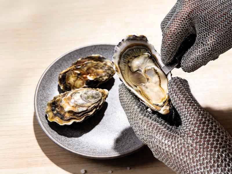 The Oyster World Cup Gastronomy 2026 Returns in Grand Style