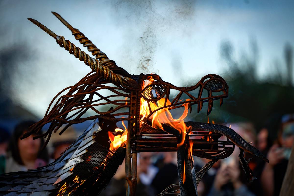 East Gippsland Winter Festival program is A Wild, Whimsical & Mouth-Watering Program