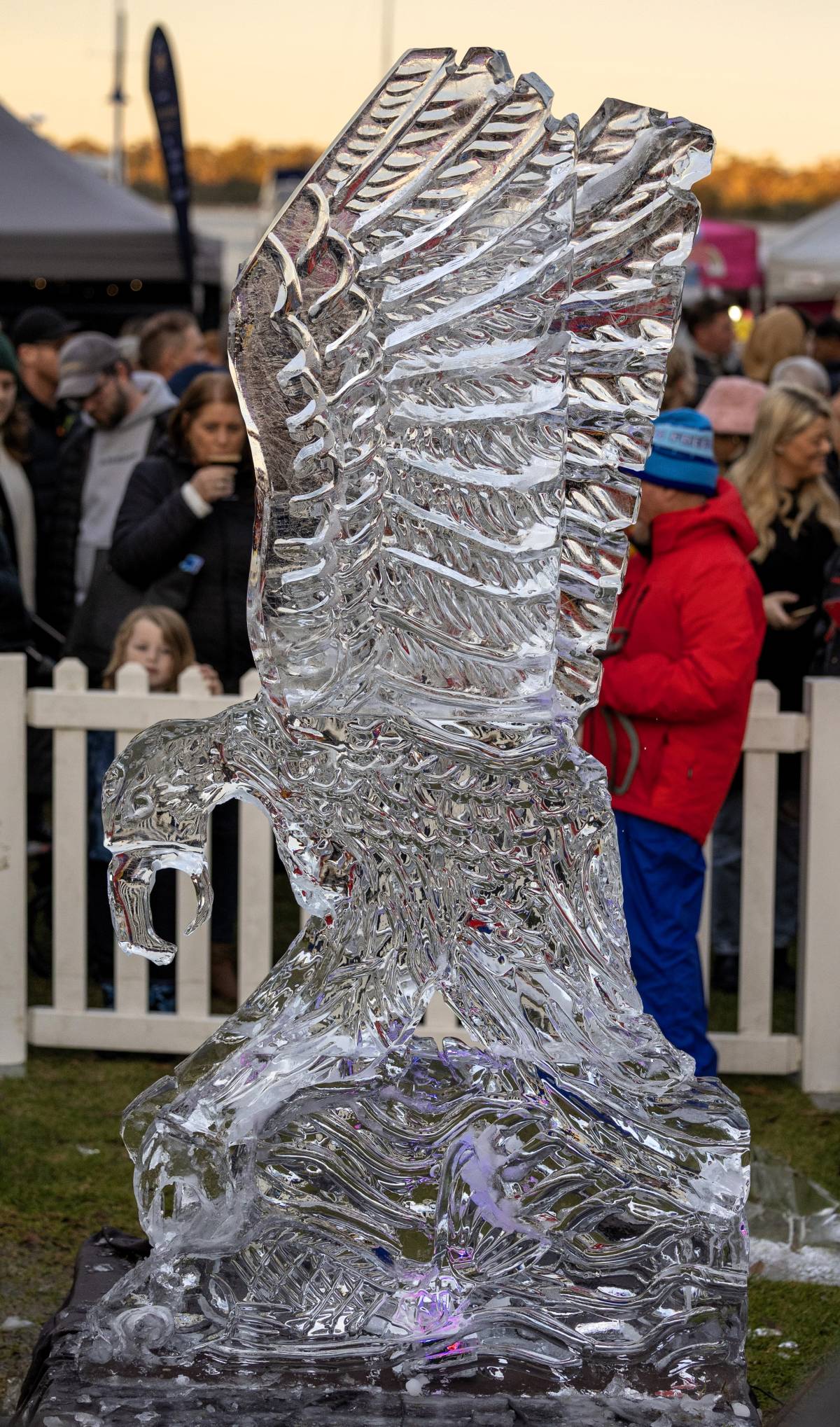 East Gippsland Winter Festival program is A Wild, Whimsical & Mouth-Watering Program