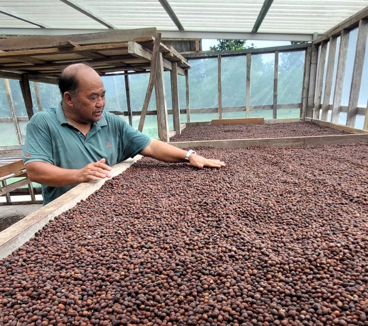 Sabah Stories