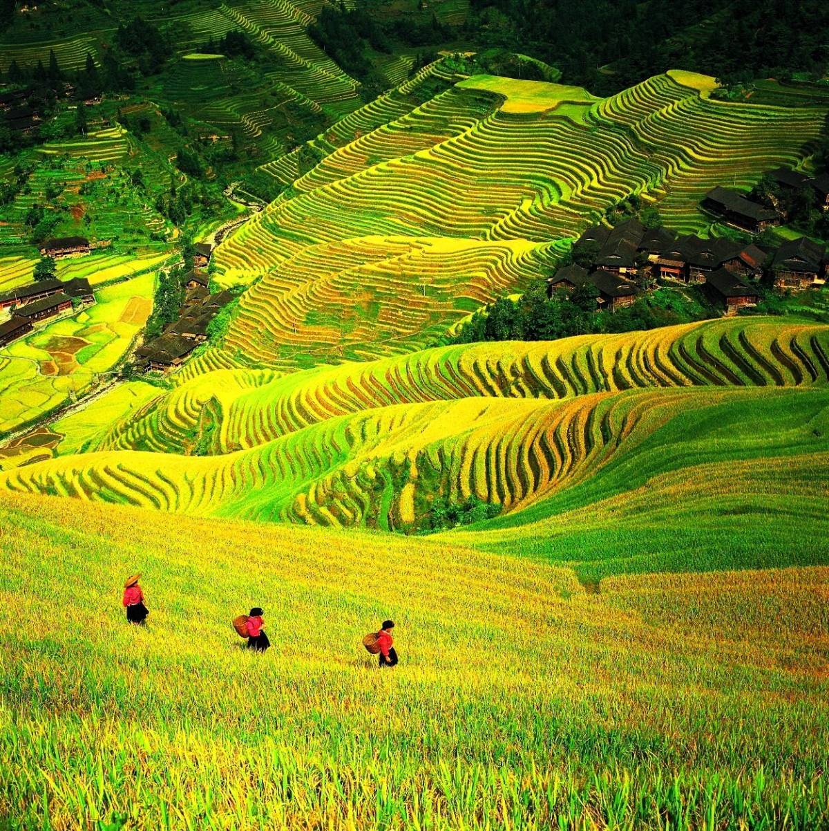 Jackie Chan and Trip.com Group Spotlight Guilin, China as Demand Grows for Experiential & Cultural Travel in China
