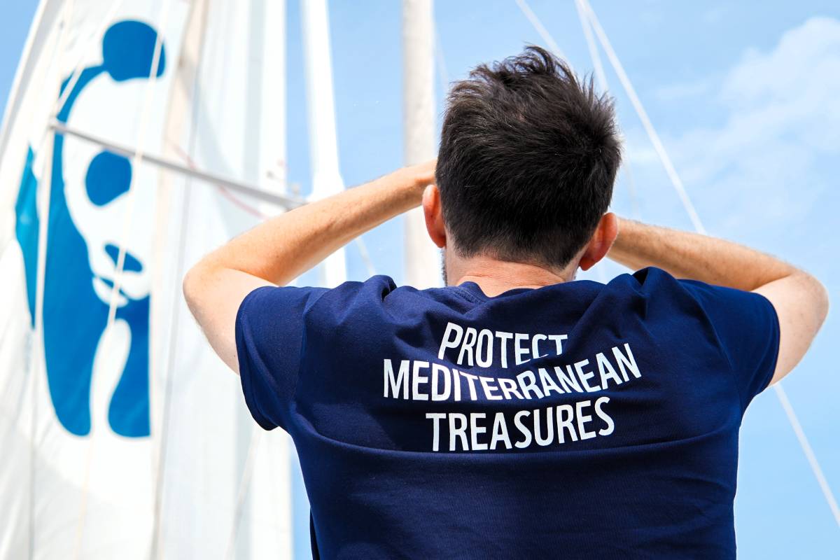 From Vision to Impact: Two Years Supporting the Longevity of the World’s Oceans