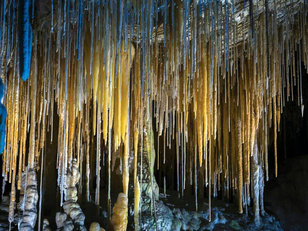 Soft Adventure Is Booming and Tasmania Is Embracing the Shift