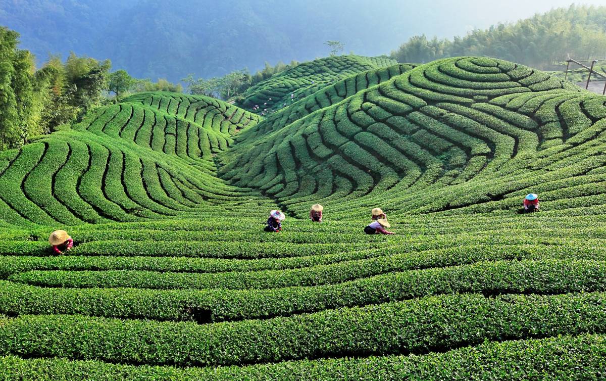 Taiwan Invites Singapore Travellers to “Find Your Taiwan Way” at NATAS Holidays 2026