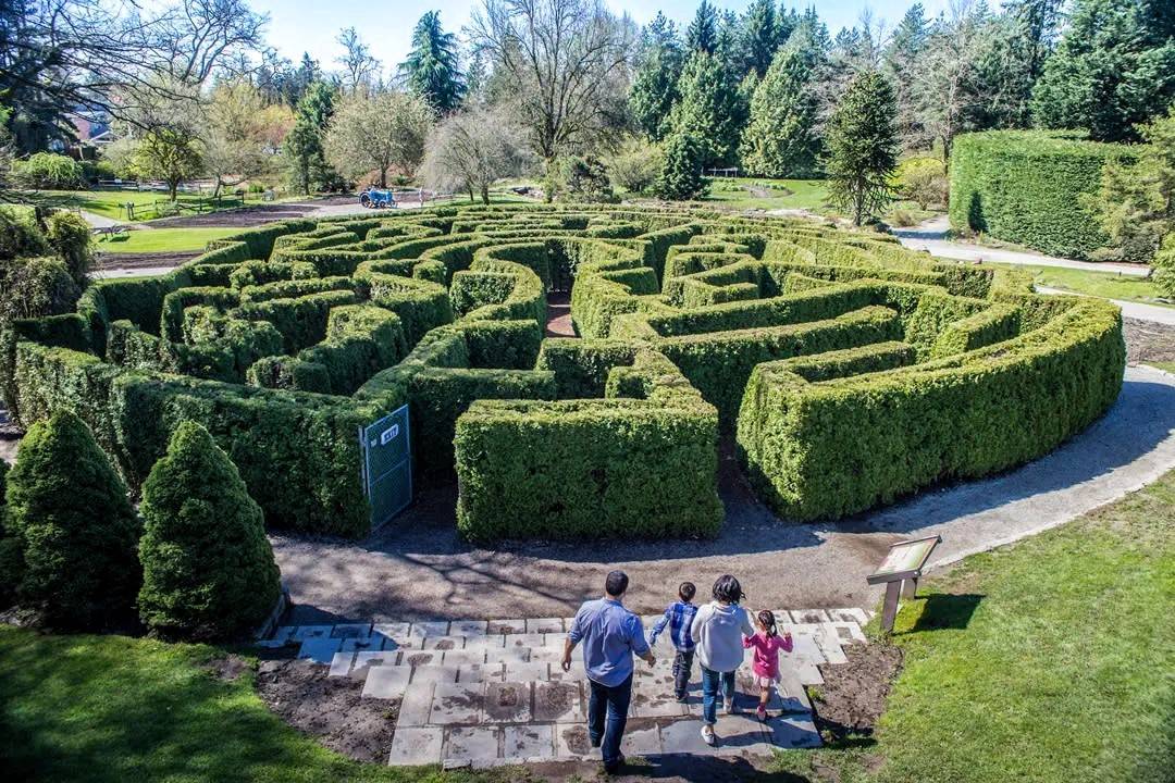 Your Next Great Adventure Awaits: Air Canada Launches Special Fares to Vancouver