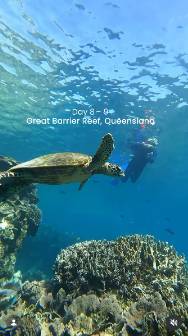 Tourism Australia launches new Instagram profile @australia.guides