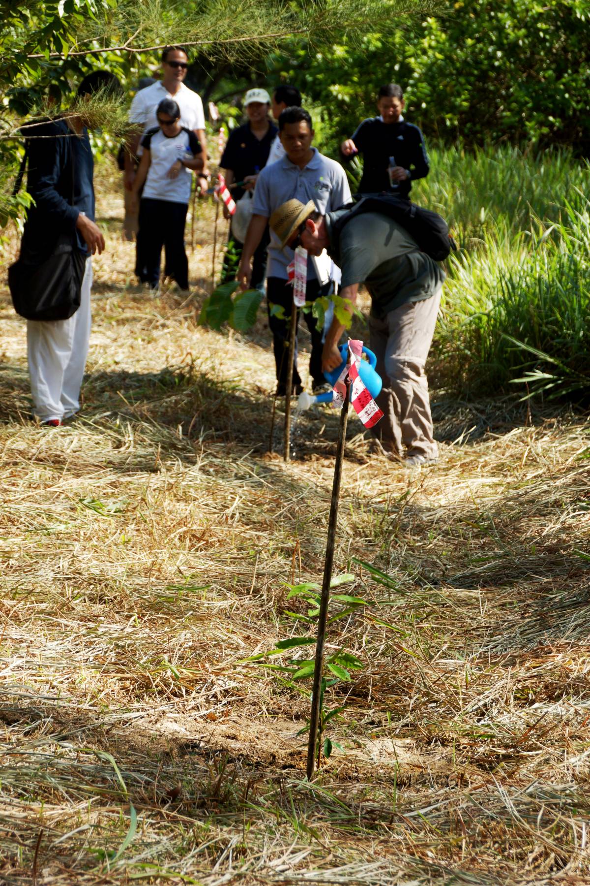 Sarawak Tourism Board holds Tree Planting Ceremony in Conjunction with Borneo Jazz 2015