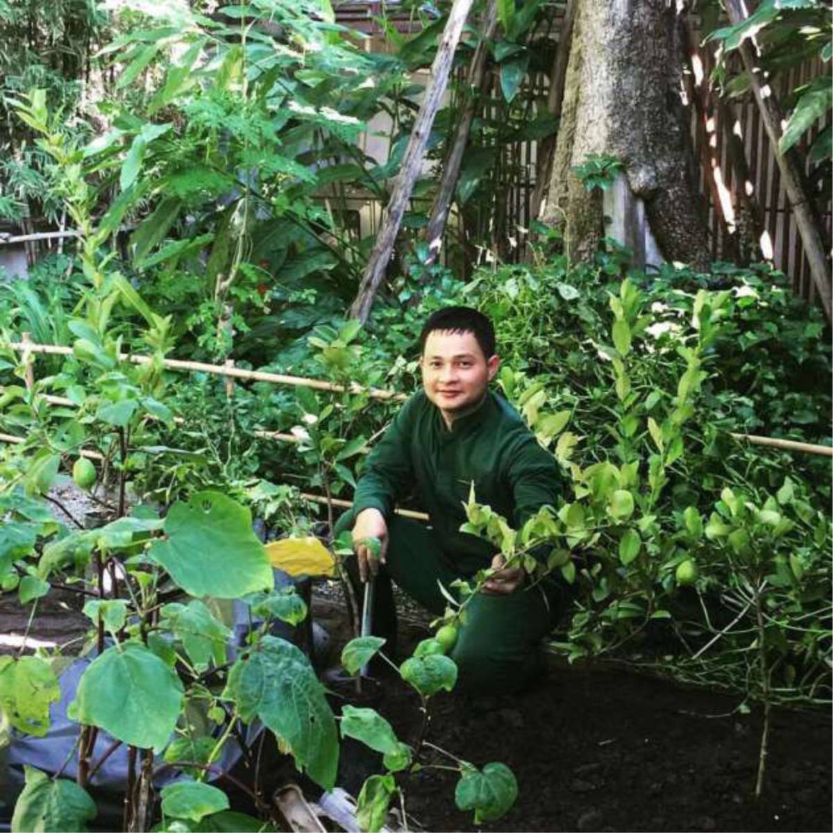 137 Pillars House Chiang Mai Introduces Environmental Programmes