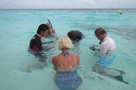 Coral Regeneration Initiative Underway at Outrigger Resort in Maldives