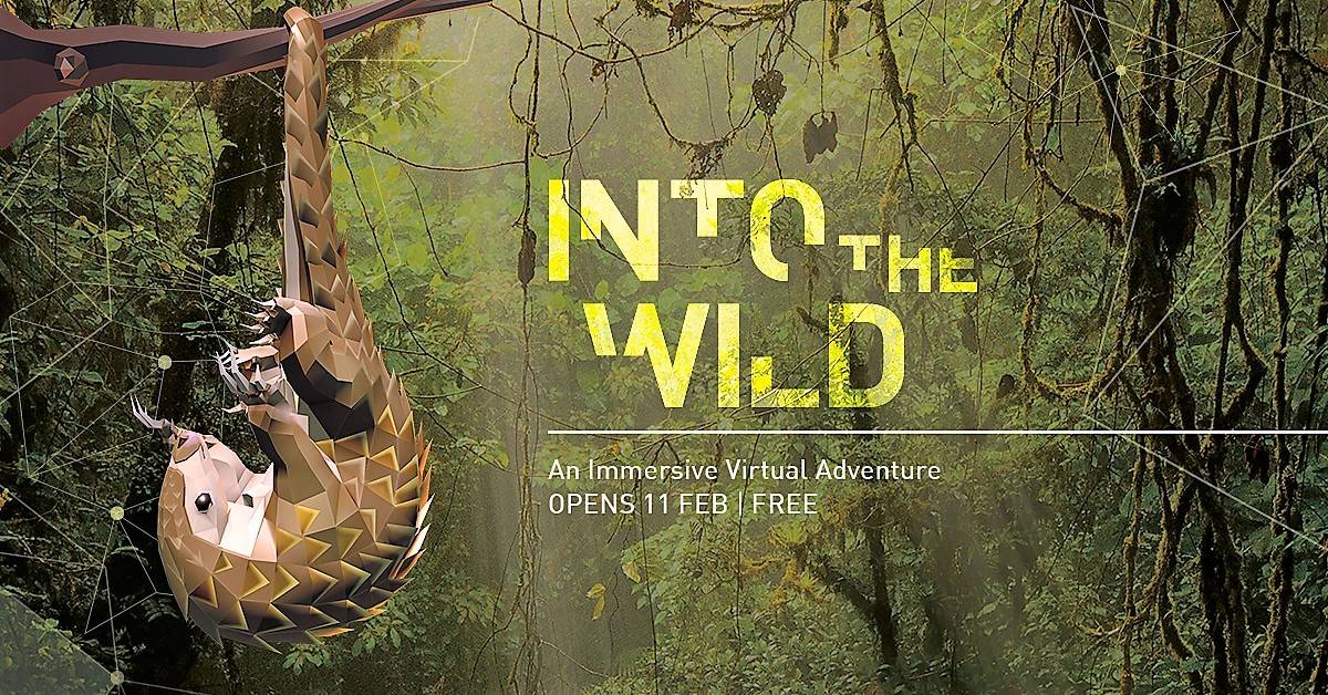 Into the Wild: An Immersive Virtual Adventure