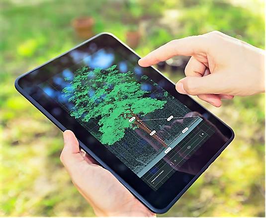 Digital Urban Forest Management: How Technology Helps Tree-huggers Protect Singapore’s Green Lungs